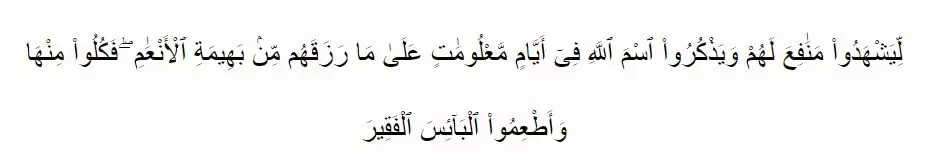 Keutamaan ibadah haji  © 2020 brilio.net