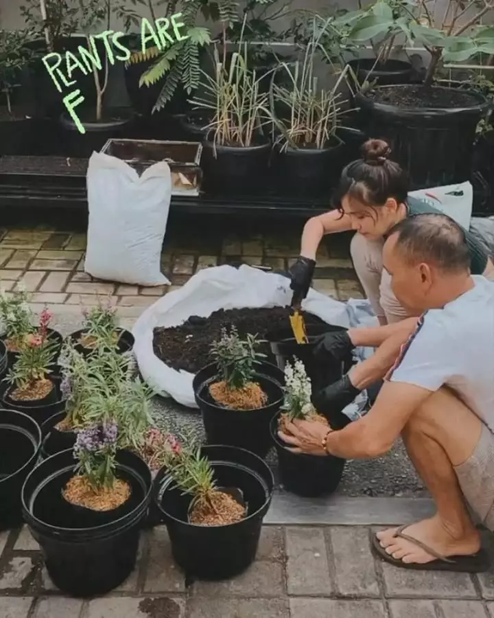 Ayu Ting Ting berkebun instagram Ayu Ting Ting berkebun instagram
