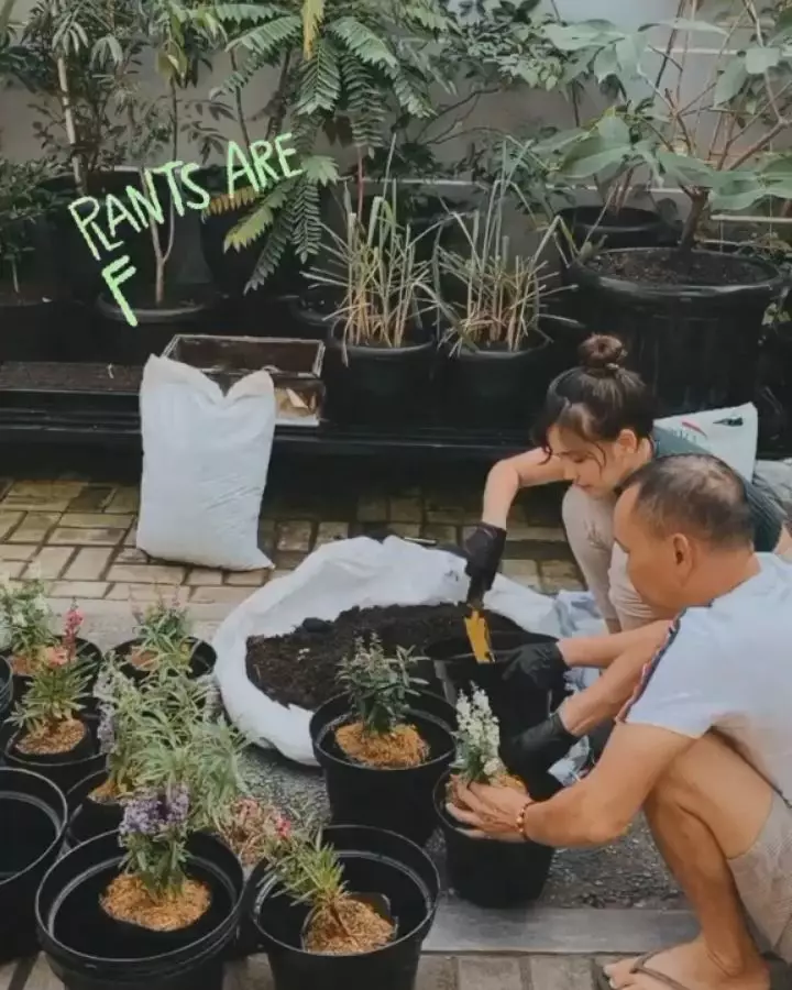 Ayu Ting Ting berkebun instagram Ayu Ting Ting berkebun instagram