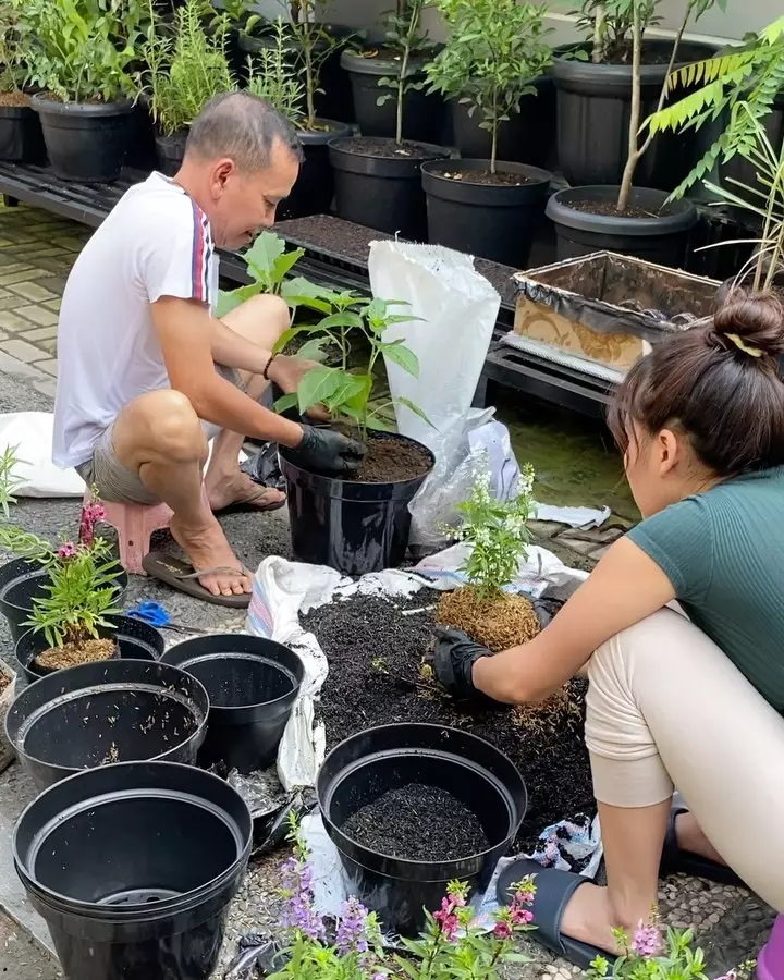 Ayu Ting Ting berkebun instagram Ayu Ting Ting berkebun instagram
