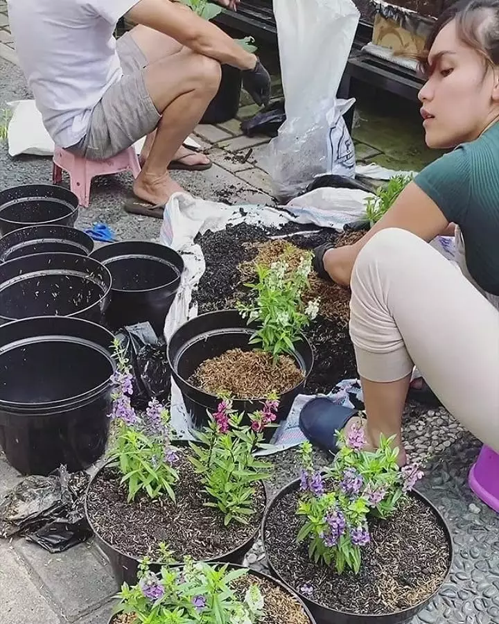 Ayu Ting Ting berkebun instagram Ayu Ting Ting berkebun instagram