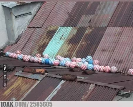 Momen ngeselin masa kecil Berbagai Sumber Momen ngeselin masa kecil Berbagai Sumber