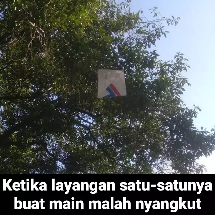 Momen ngeselin masa kecil Berbagai Sumber Momen ngeselin masa kecil Berbagai Sumber