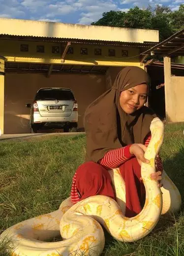 Gadis pelihara ular © 2020 brilio.net Gadis pelihara ular © 2020 brilio.net