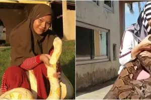Tanpa rasa takut, ini 7 potret gadis pelihara 6 ular piton besar