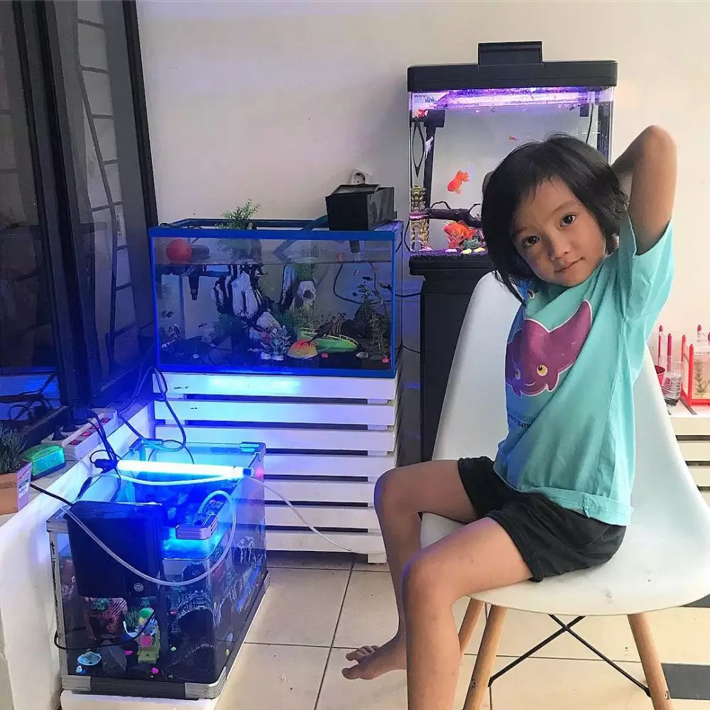 penampakan rumah anji instagram