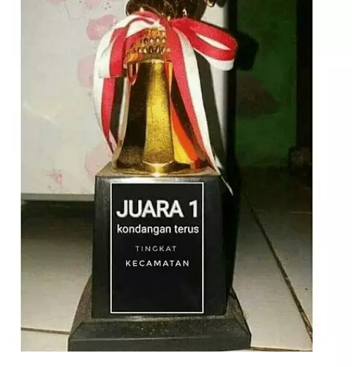 Piala kejuaraan kocak Berbagai sumber Piala kejuaraan kocak Berbagai sumber