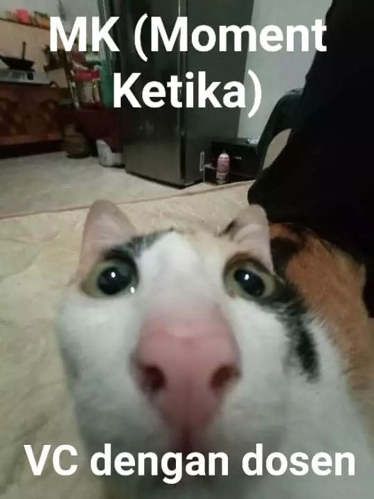 Meme saat video call Berbagai sumber Meme saat video call Berbagai sumber