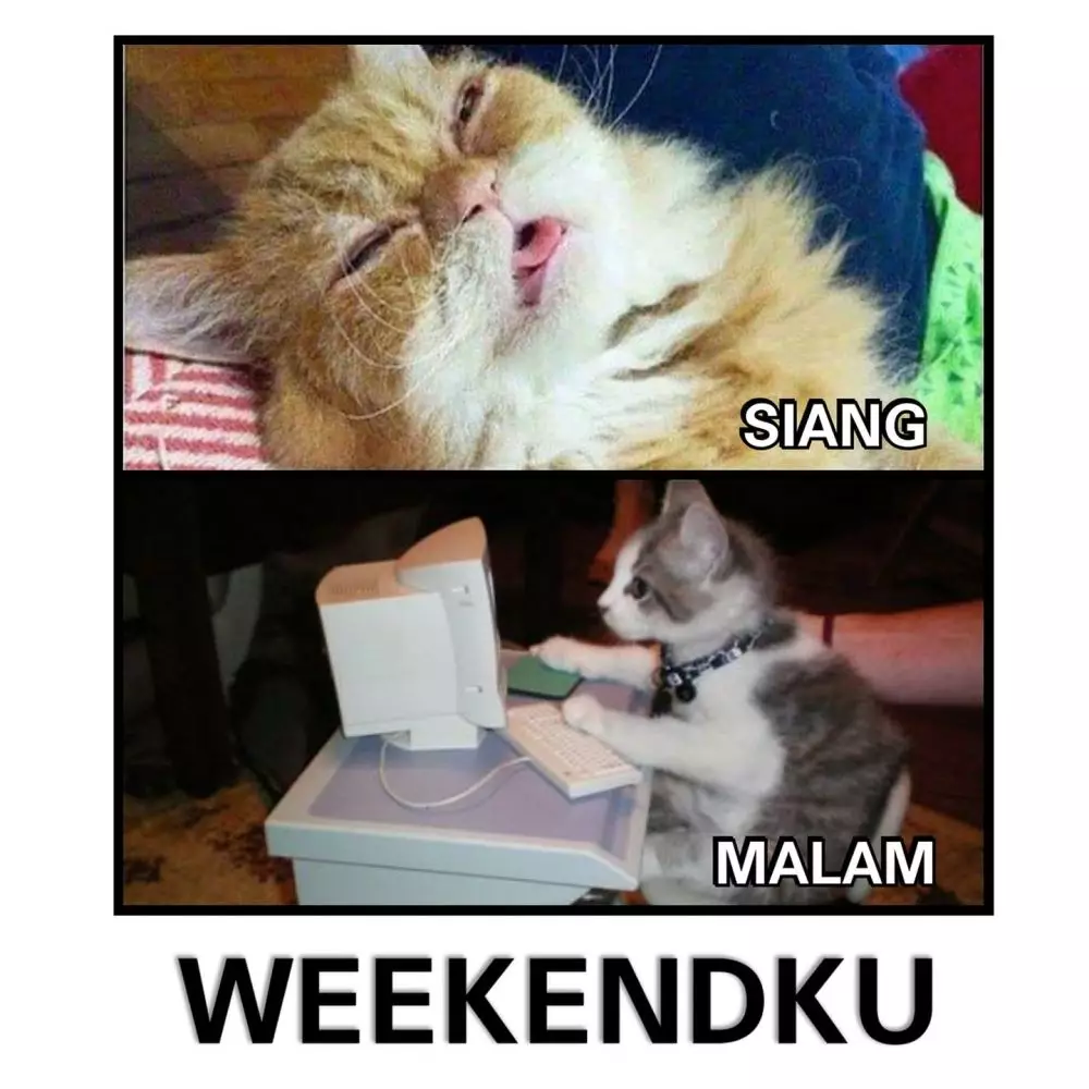 Meme orang begadang Berbagai sumber Meme orang begadang Berbagai sumber