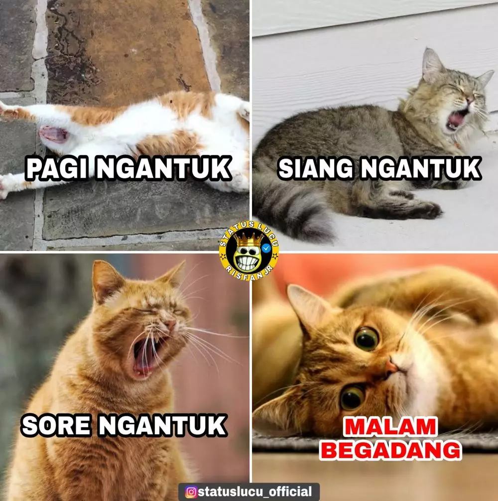 Meme orang begadang Berbagai sumber Meme orang begadang Berbagai sumber