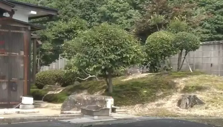 nenek 82 tahun beruang Twitter