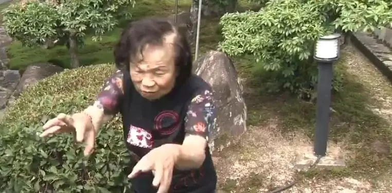 nenek 82 tahun beruang Twitter