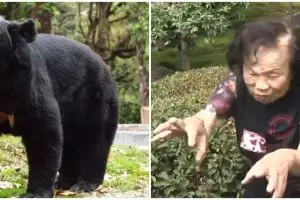 Diserang beruang liar, aksi nenek 82 tahun ini bikin melongo