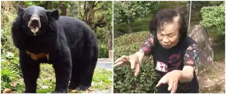 Diserang beruang liar, aksi nenek 82 tahun ini bikin melongo