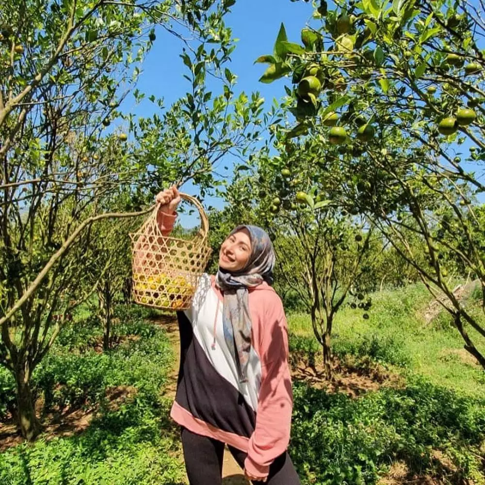 penampilan terbaru Deswita Maharani Instagram penampilan terbaru Deswita Maharani Instagram