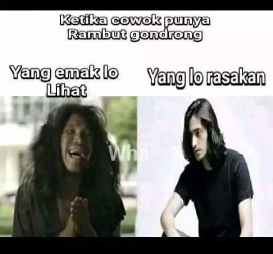 Meme rambut gondrong Berbagai sumber Meme rambut gondrong Berbagai sumber