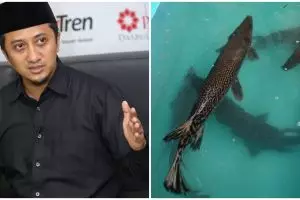 Gara-gara ikan aligator, Ustaz Yusuf Mansur diingatkan warganet