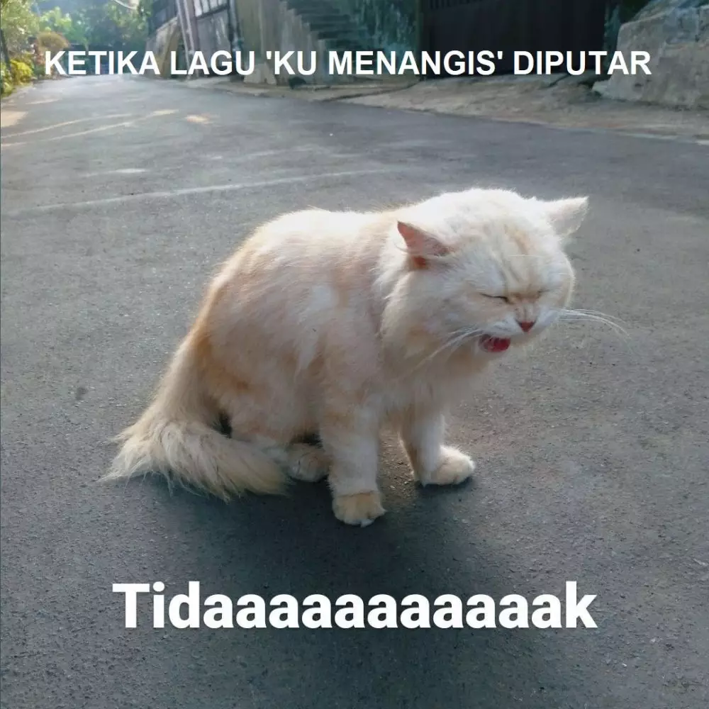Meme lucu Ku Menangis berbagai sumber Meme lucu Ku Menangis berbagai sumber