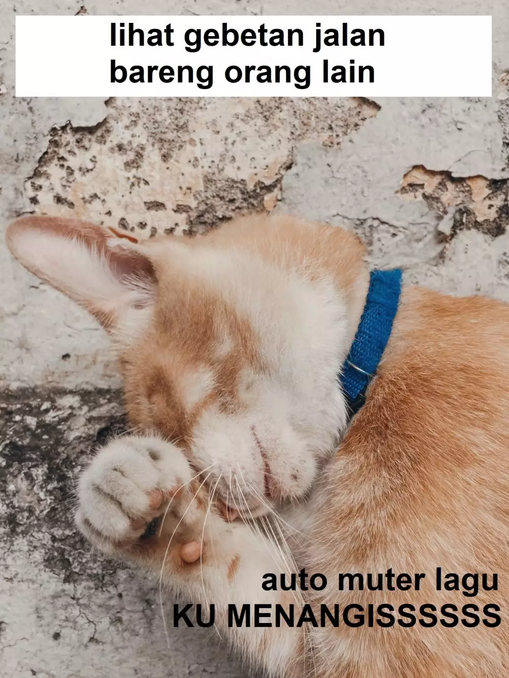 Meme lucu Ku Menangis berbagai sumber Meme lucu Ku Menangis berbagai sumber