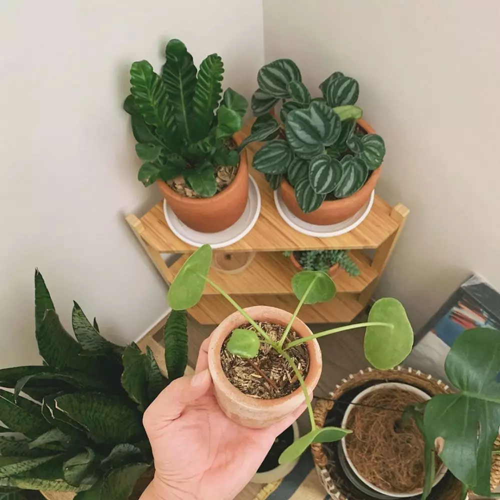 potret rumah tarra budiman berbagai sumber