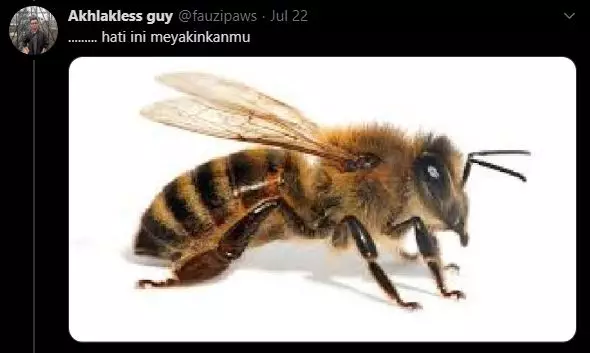 sambung lagu Cinta Ini Membunuhku twitter