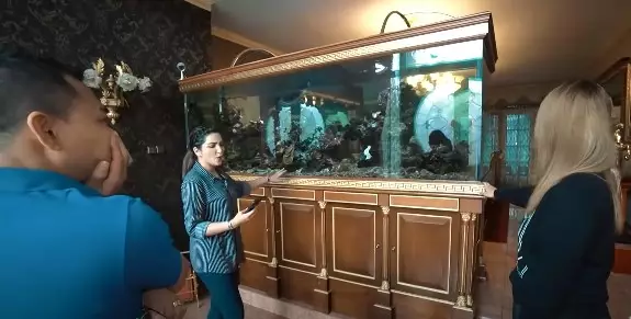 Akuarium Inul Daratista © 2020 brilio.net