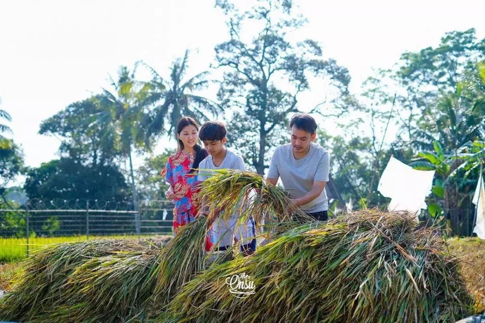 Sarwendah & anak-anak panen padi Instagram Sarwendah & anak-anak panen padi Instagram
