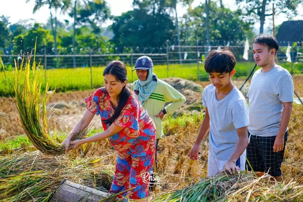 Sarwendah & anak-anak panen padi Instagram Sarwendah & anak-anak panen padi Instagram
