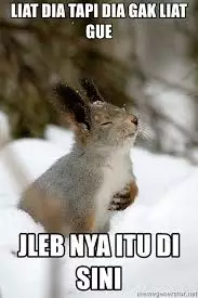 Meme nggak lihat Berbagai sumber