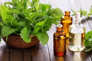 9 Cara alami mengobati sinus, aman tanpa efek samping