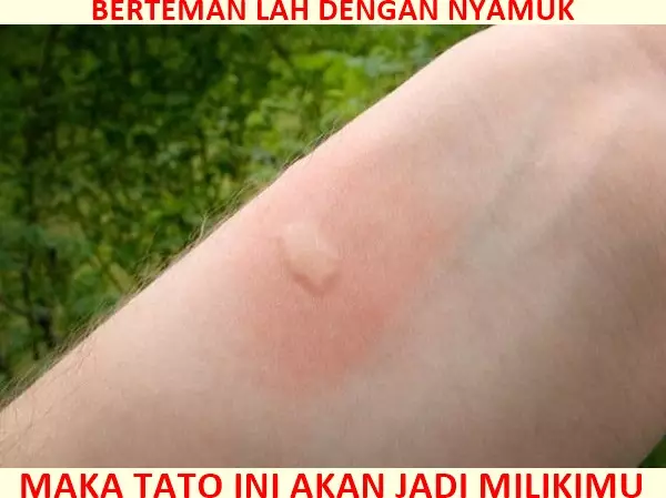 tato alami © 2020 brilio.net