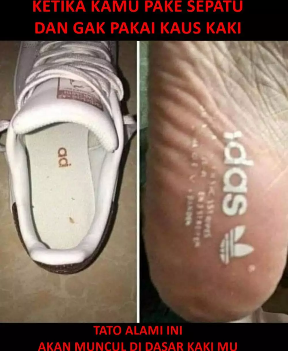 tato alami © 2020 brilio.net