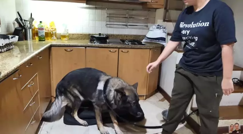 potret rumah larasati gading youtube