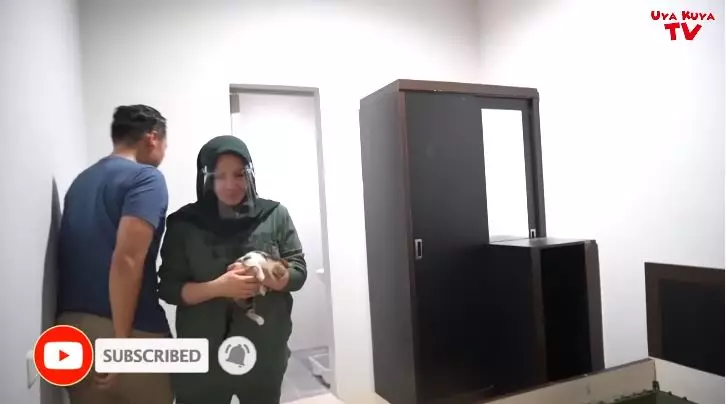 kucing tieta berbagai sumber