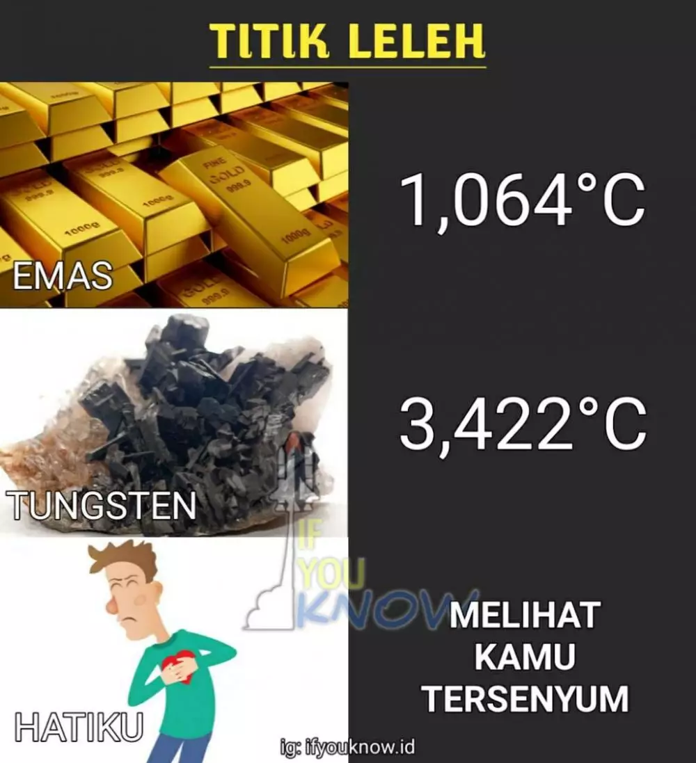 Meme orang kasmaran Berbagai sumber