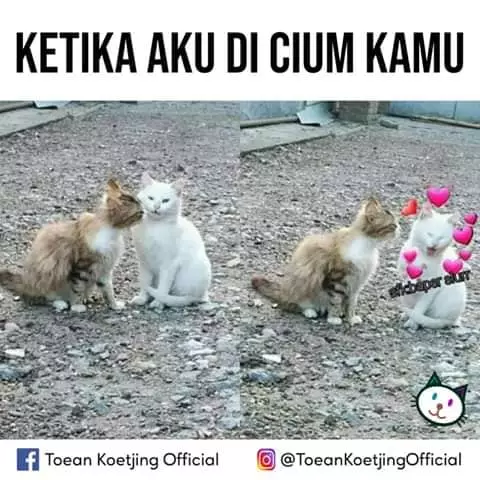 Meme orang kasmaran Berbagai sumber