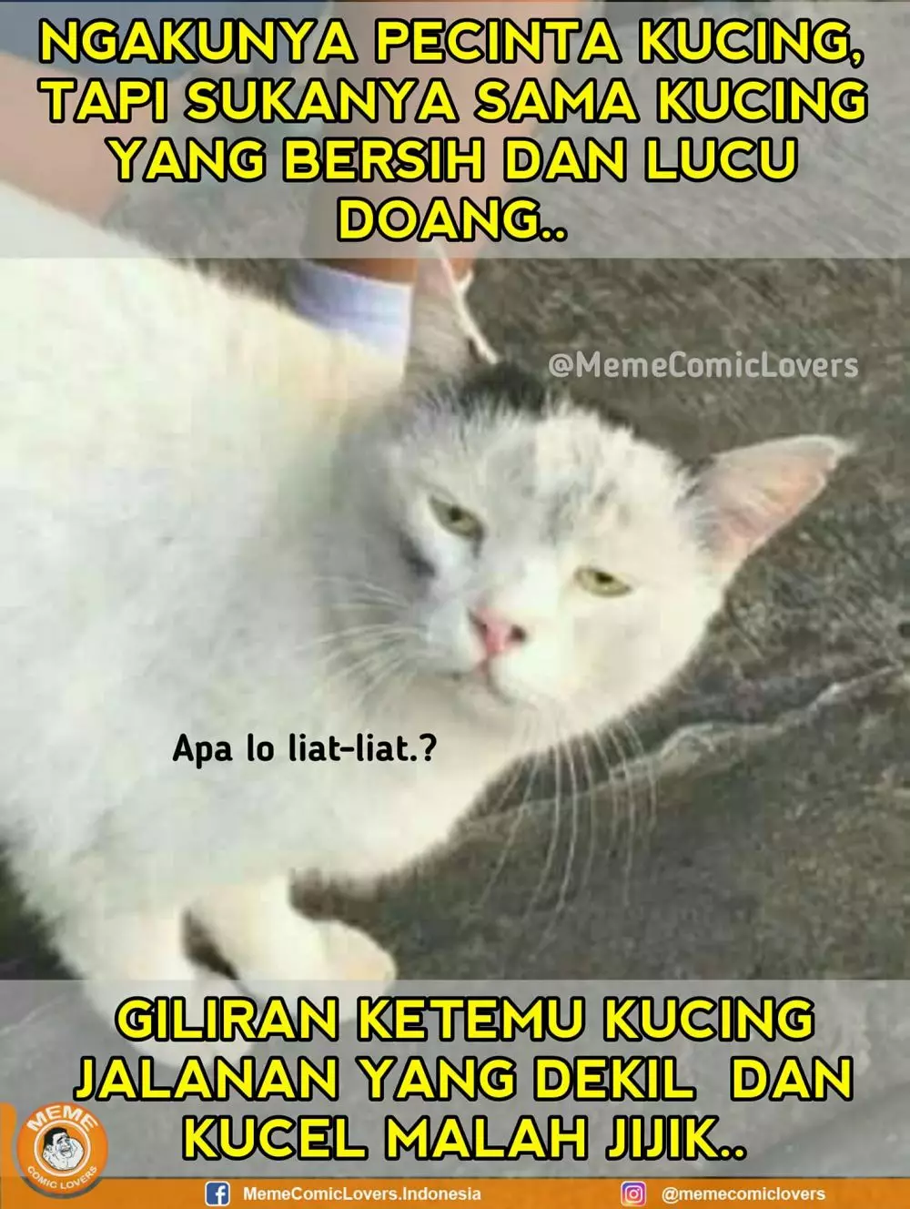 Meme beda nasib kucing kampung Berbagai sumber