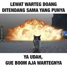 Meme beda nasib kucing kampung Berbagai sumber