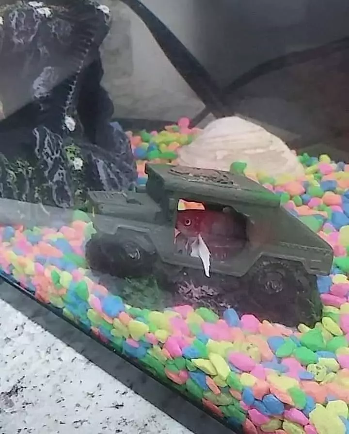 ide kreatif mainan anak © 2020 instagram.com