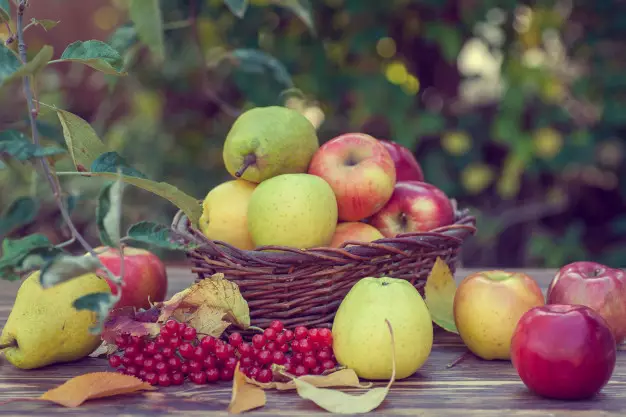 Buah ini bisa turunkan berat badan © 2020 brilio.net Buah ini bisa turunkan berat badan © 2020 brilio.net