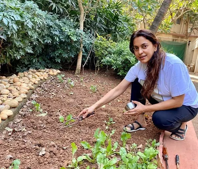 kebun milik seleb bollywood Instagram