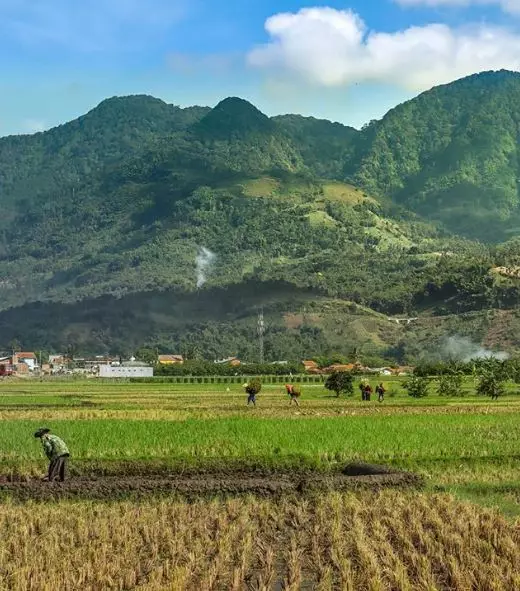 traktor sawah melalui smartphone Instagram