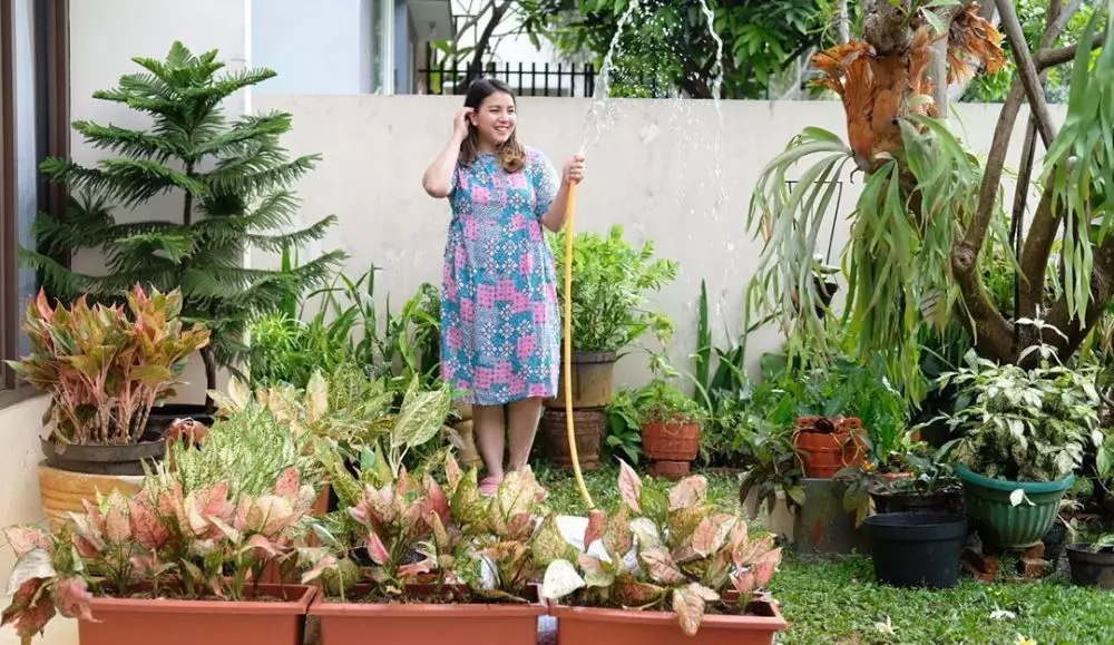 seleb hobi koleksi tanaman hias Instagram seleb hobi koleksi tanaman hias Instagram