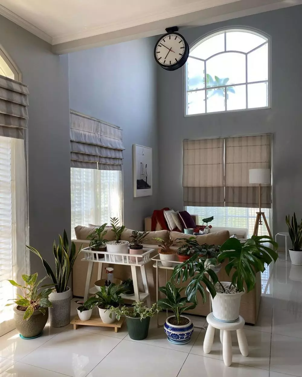 seleb hobi koleksi tanaman hias Instagram seleb hobi koleksi tanaman hias Instagram