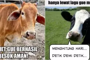 10 Meme lucu 'perasaan sapi' jelang Idul Adha ini bikin senyum tipis