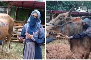 Momen 4 seleb berburu hewan kurban, ada yang borong 2 sapi