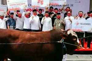 Libatkan ratusan UMKM peternak lokal, Telkomsel salurkan hewan kurban