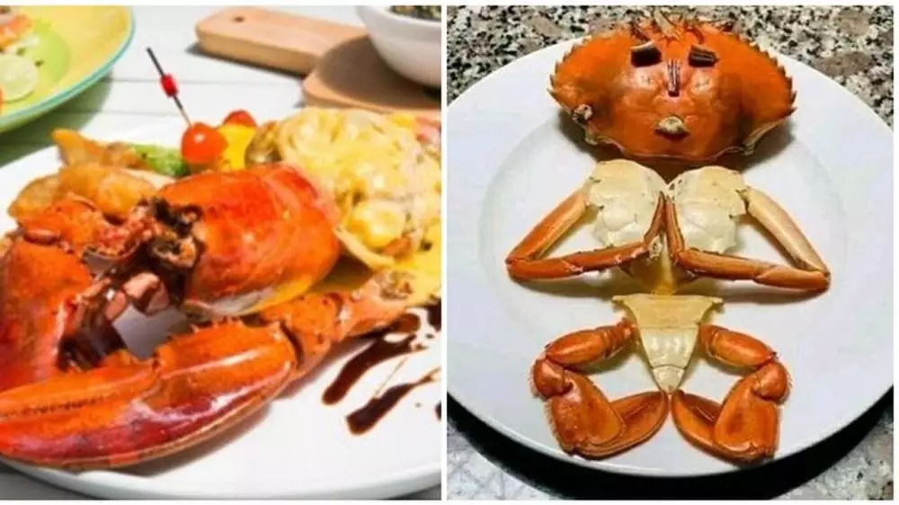 meme beda chef dan orang biasa berbagai sumber