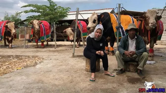 Kurban lebih dari satu © 2020 brilio.net Kurban lebih dari satu © 2020 brilio.net