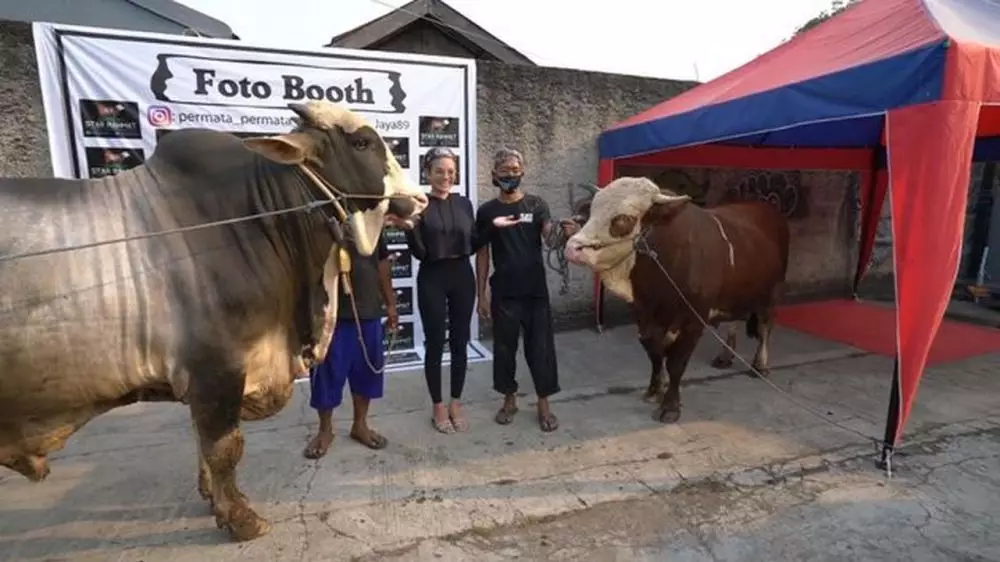 Kurban lebih dari satu © 2020 brilio.net Kurban lebih dari satu © 2020 brilio.net